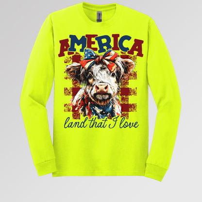 America land that I love 01