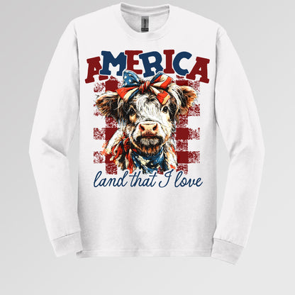 America land that I love 01