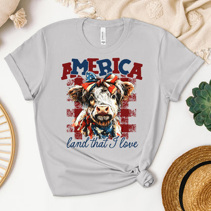 America land that I love 01