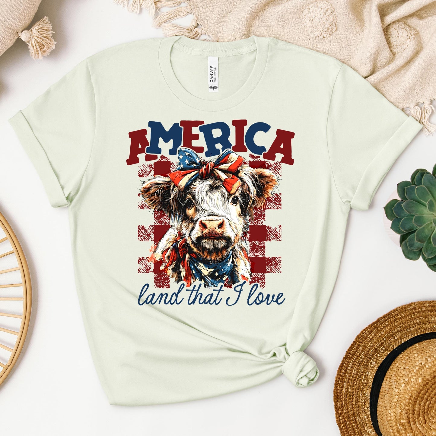 America land that I love 01