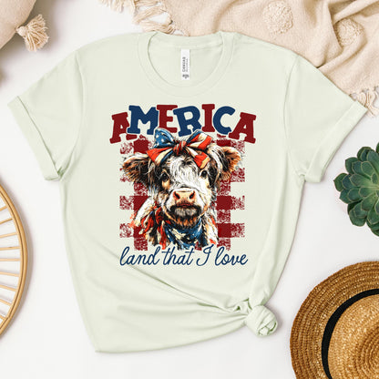 America land that I love 01