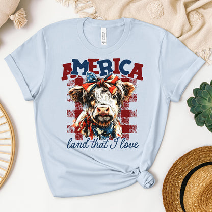 America land that I love 01