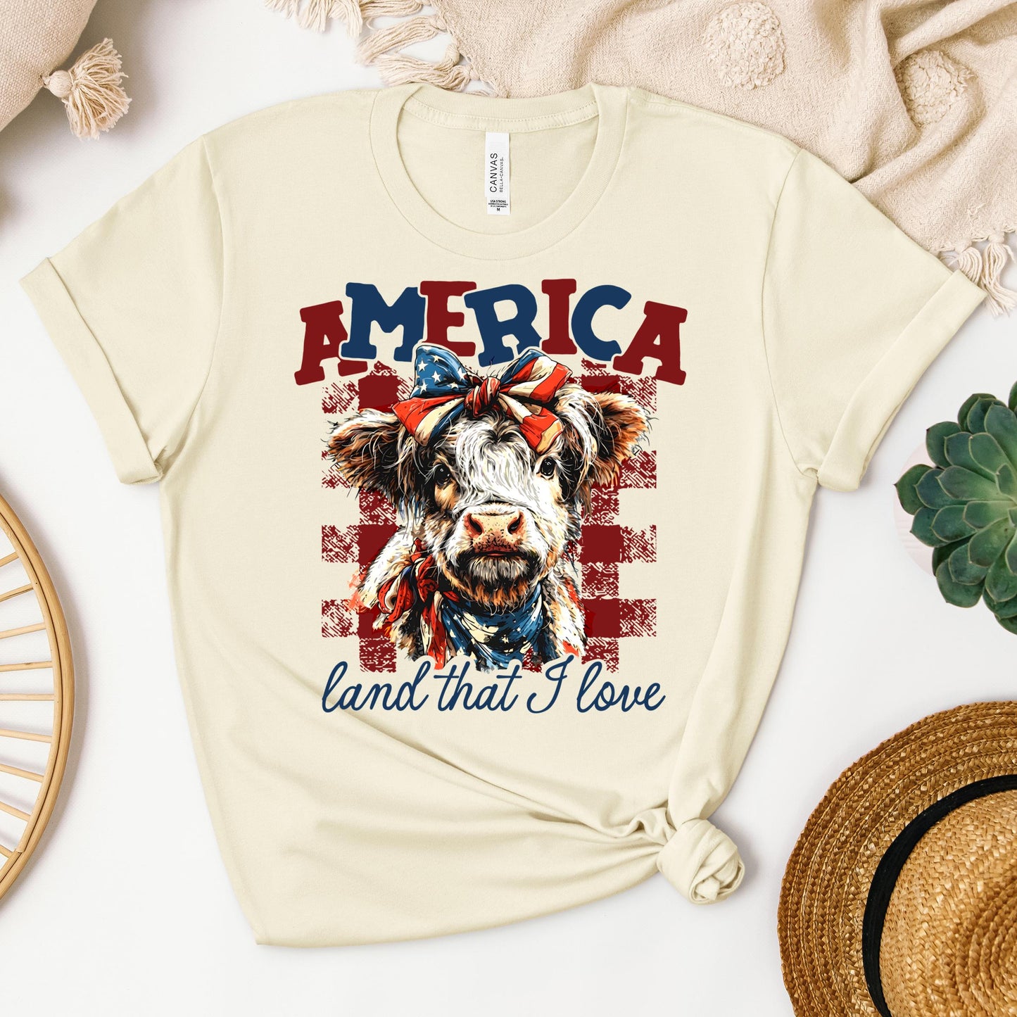 America land that I love 01