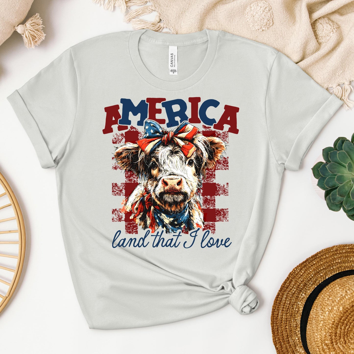 America land that I love 01