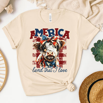America land that I love 01