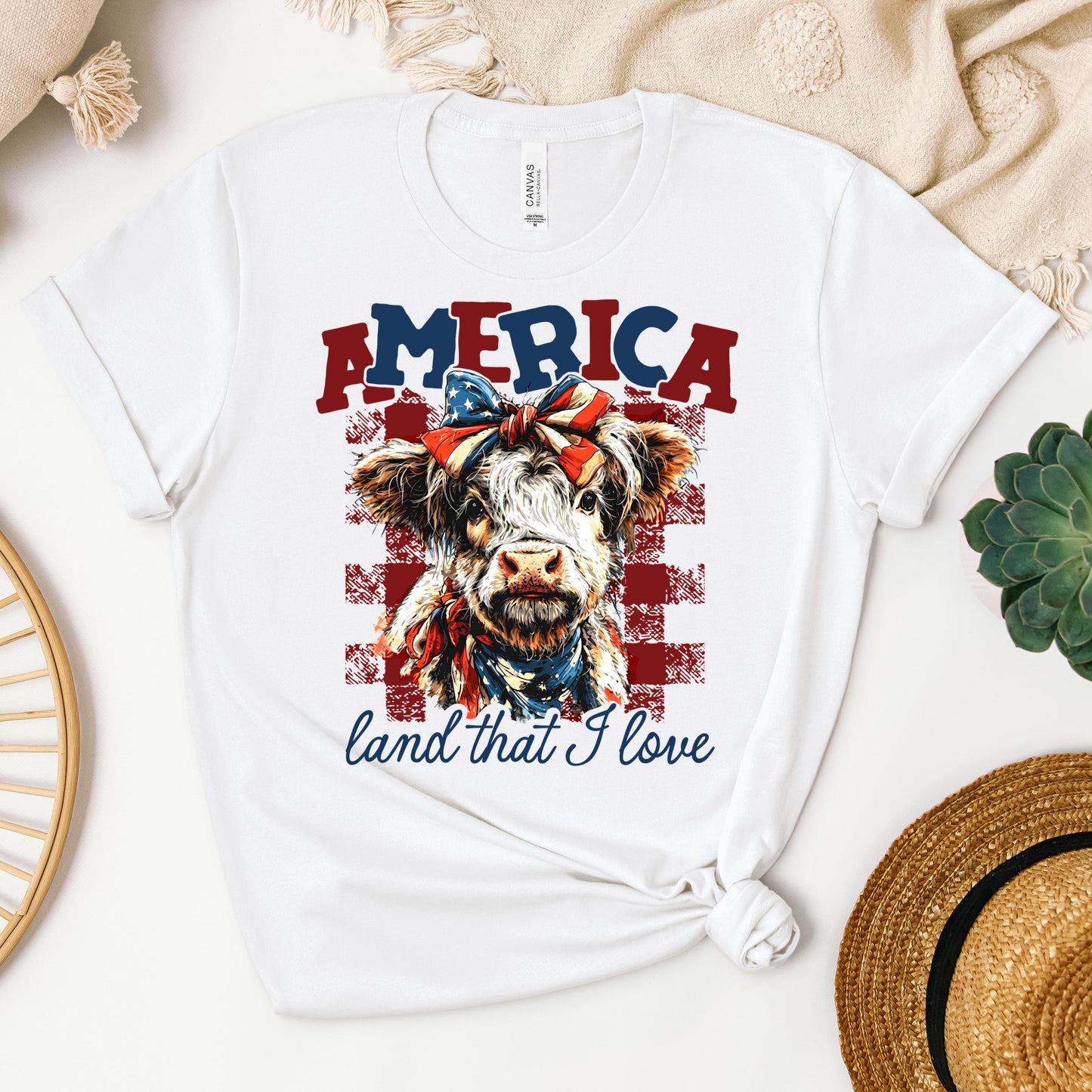 America land that I love 01
