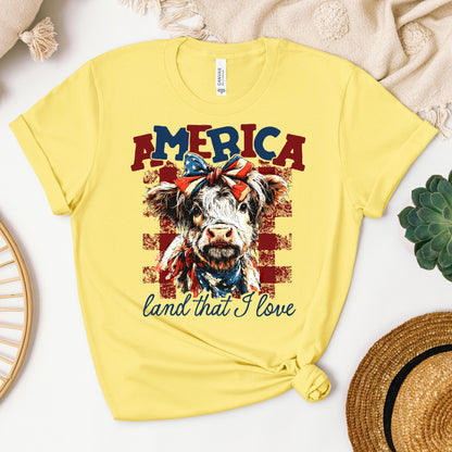 America land that I love 01