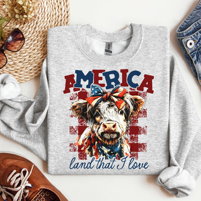 America land that I love 01