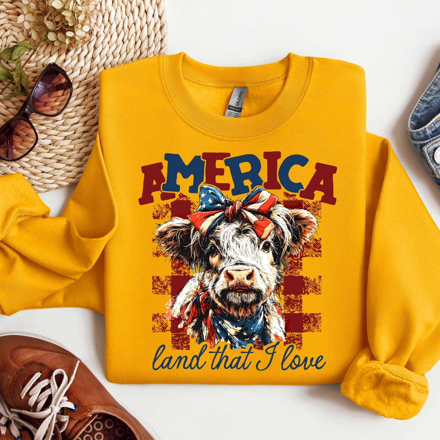 America land that I love 01