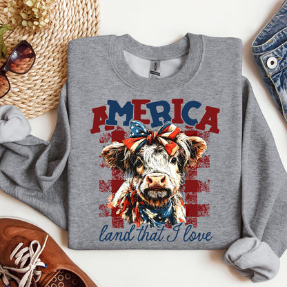 America land that I love 01