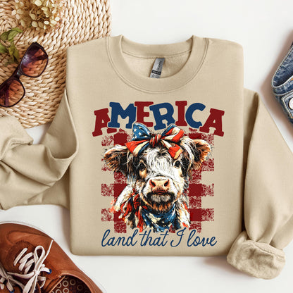 America land that I love 01