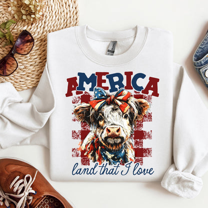 America land that I love 01