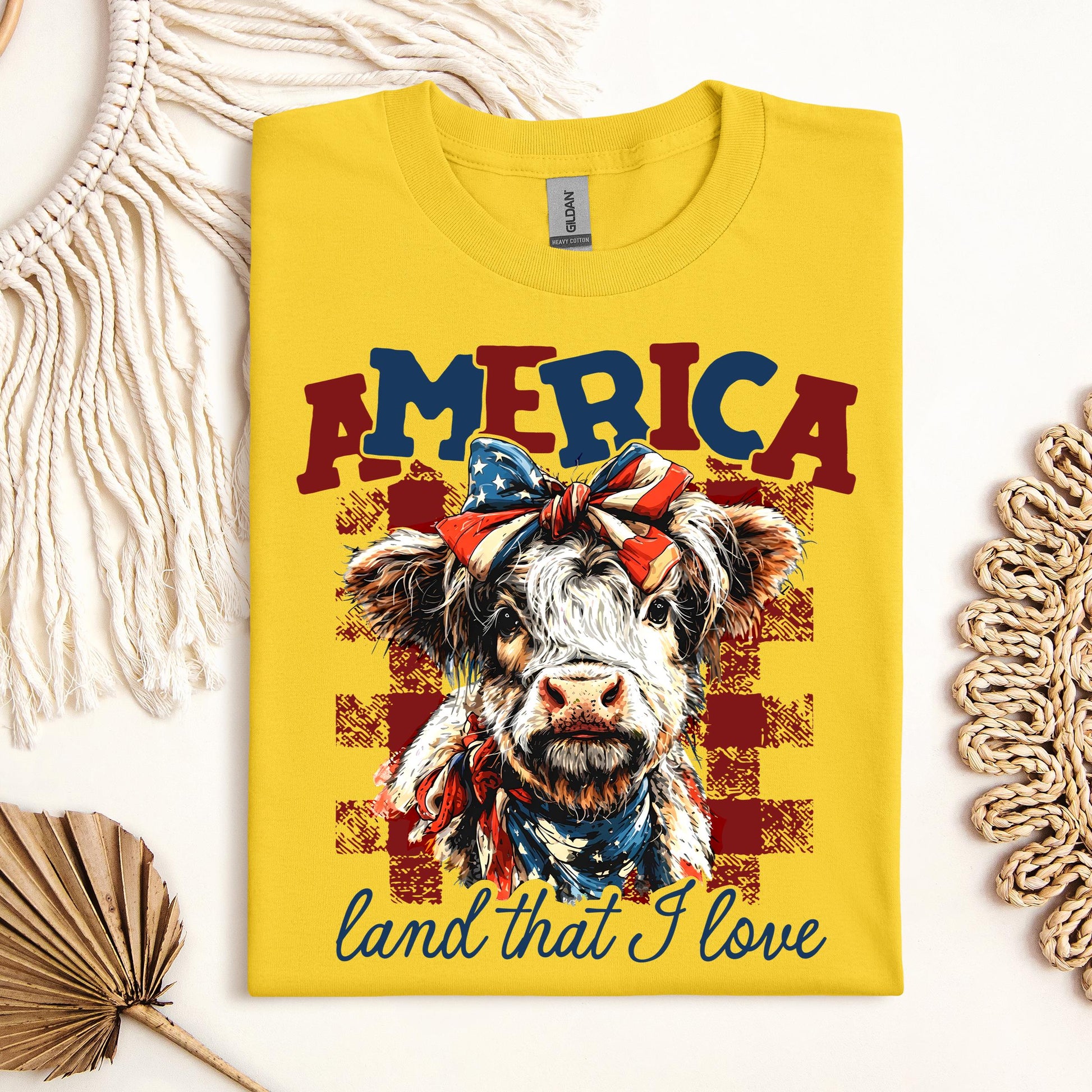 America land that I love 01