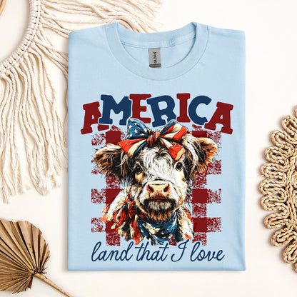 America land that I love 01