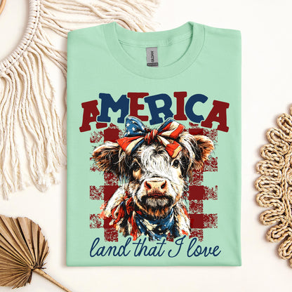 America land that I love 01