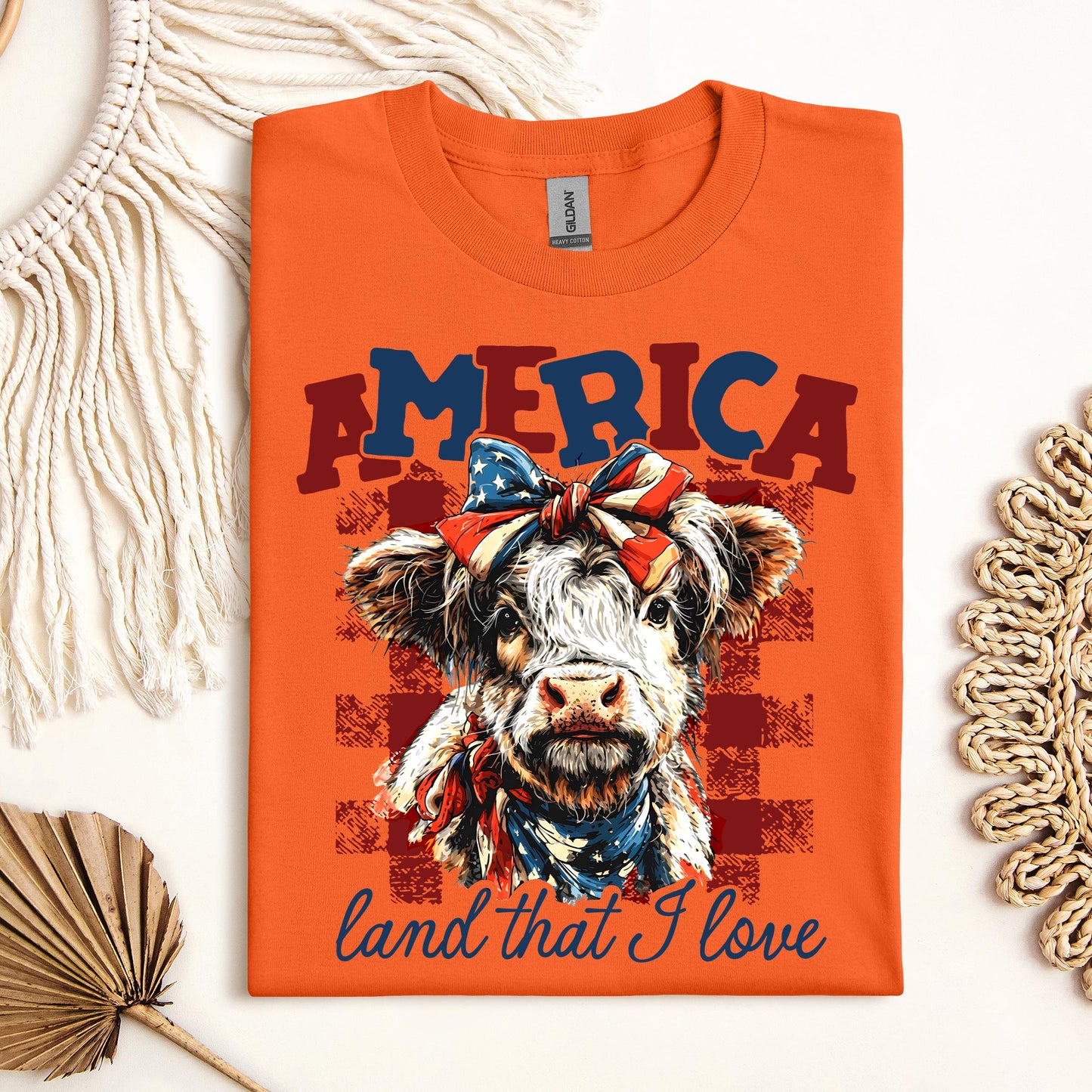 America land that I love 01