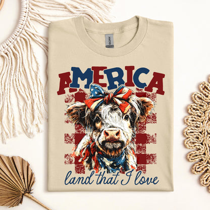 America land that I love 01