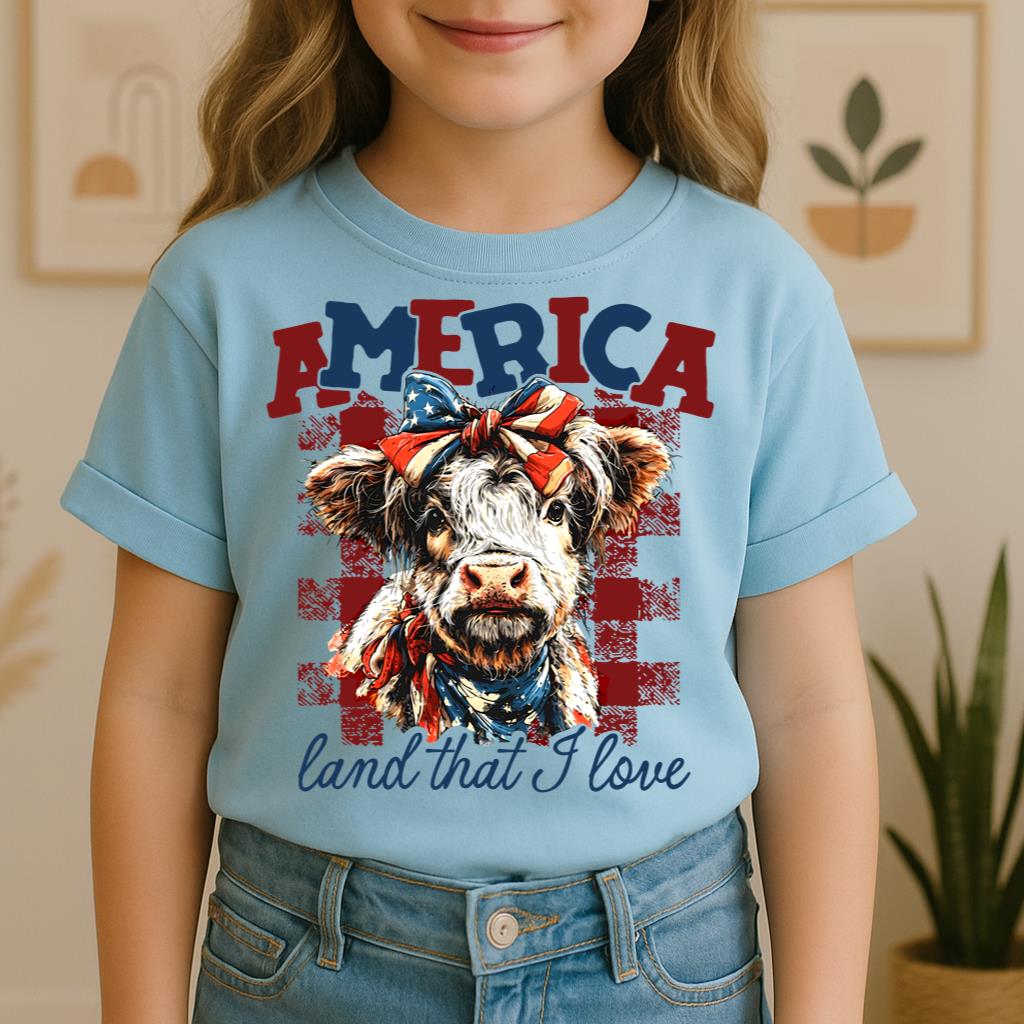 America land that I love 01