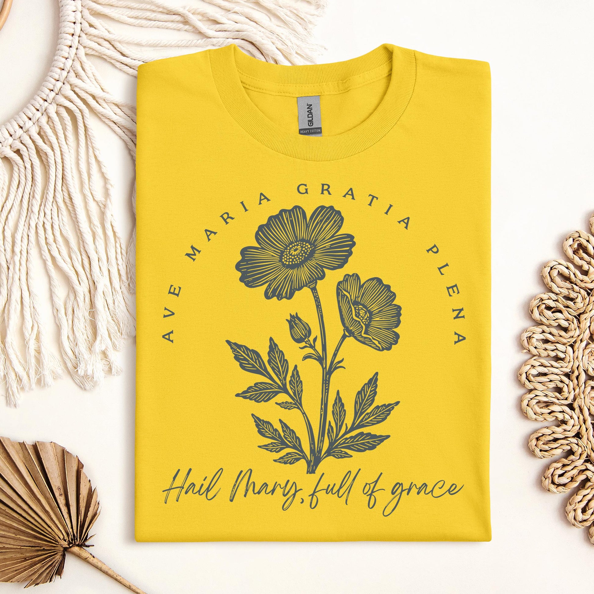 Ave Maria Gratia Plena Hail Mary Full Of Grace