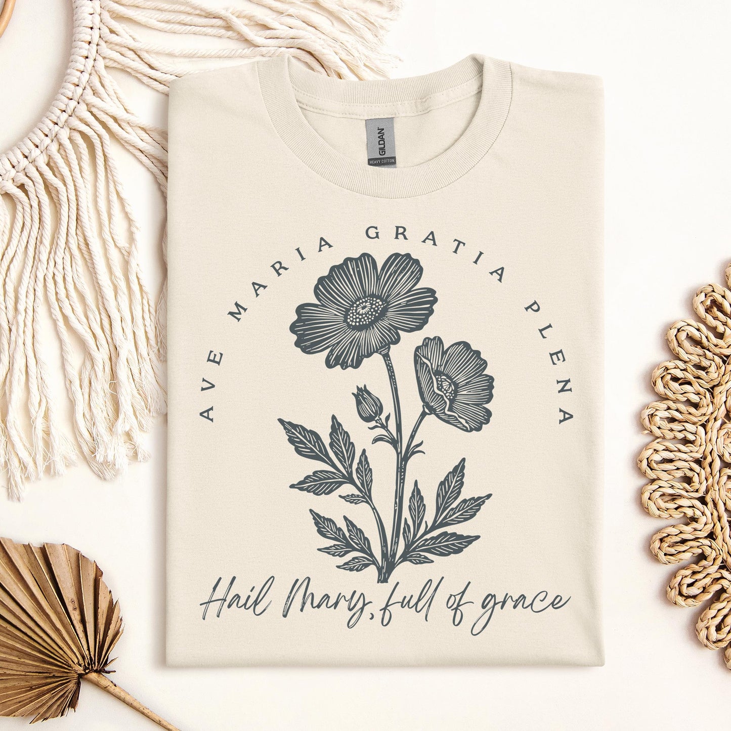 Ave Maria Gratia Plena Hail Mary Full Of Grace