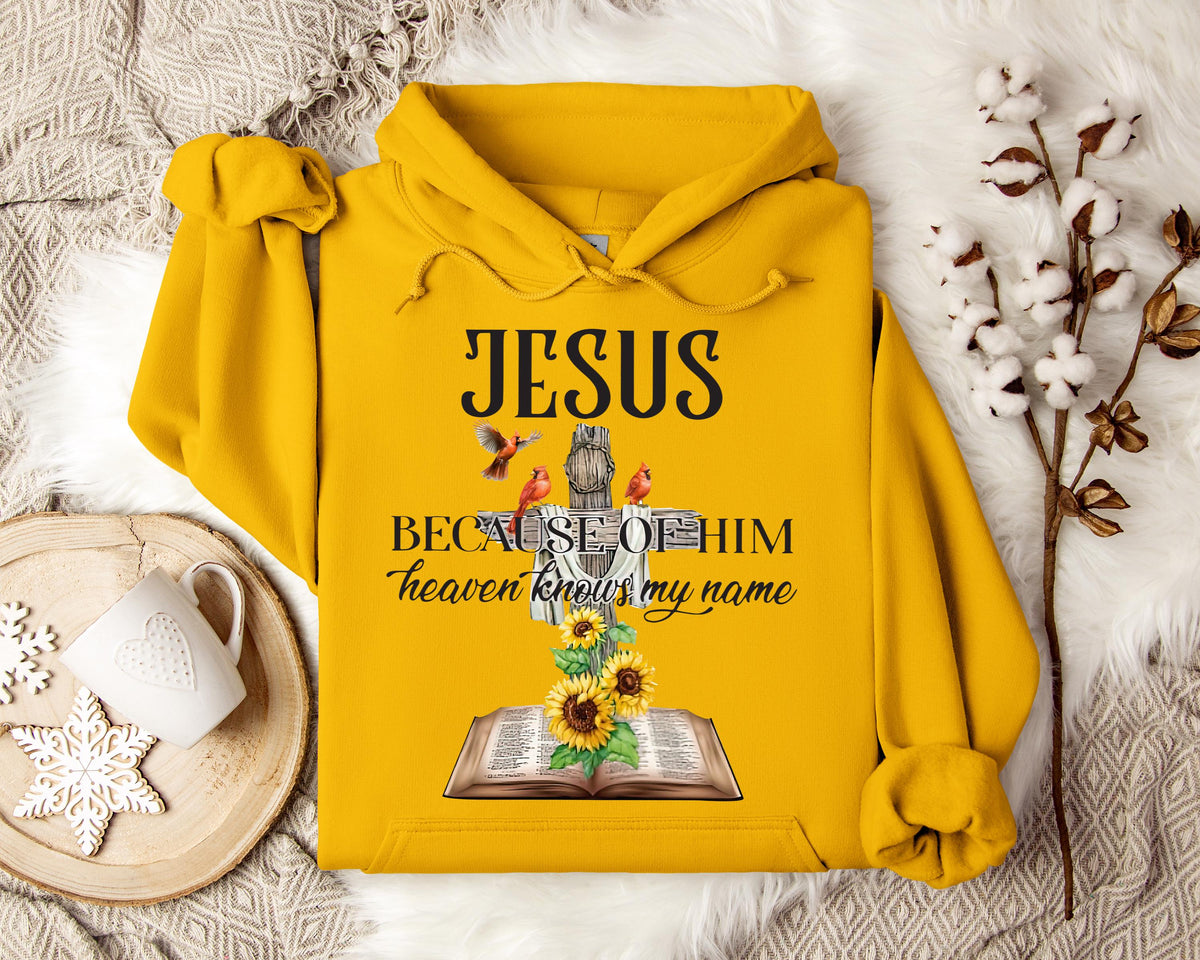 Because Of Him Heaven Knows My Name