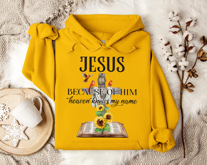 Because Of Him Heaven Knows My Name