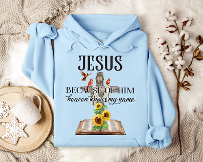 Because Of Him Heaven Knows My Name