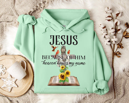 Because Of Him Heaven Knows My Name