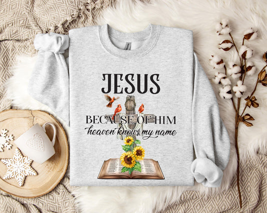 Because Of Him Heaven Knows My Name Sweatshirt