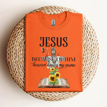 Because Of Him