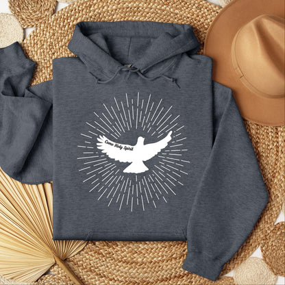 Come Holy Spirit 02