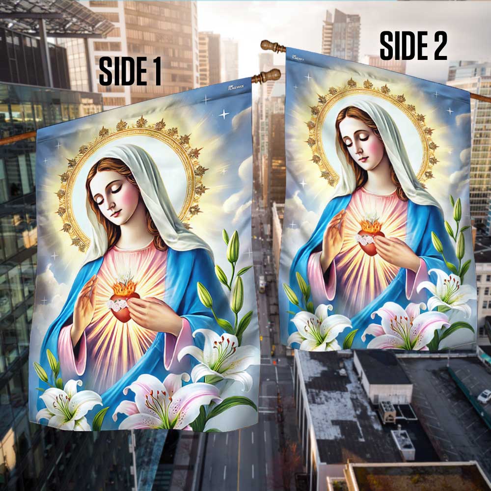 Immaculate Conception Virgin Mary Blessed Virgin Mary Flag