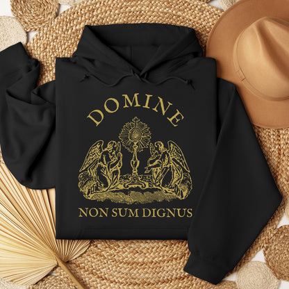 Domine Non Sum Dignus 01
