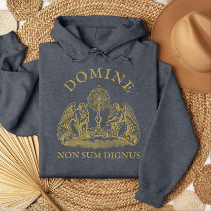 Domine Non Sum Dignus 01