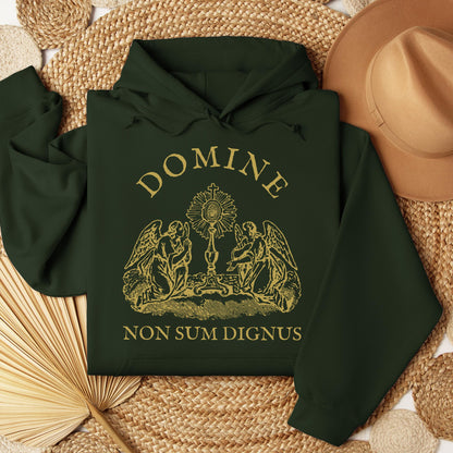 Domine Non Sum Dignus 01