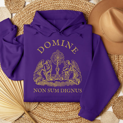 Domine Non Sum Dignus 01