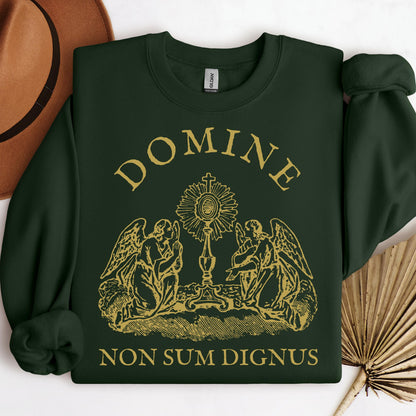 Domine Non Sum Dignus 01