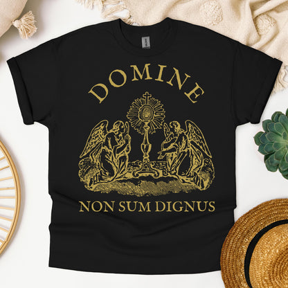 Domine Non Sum Dignus 01