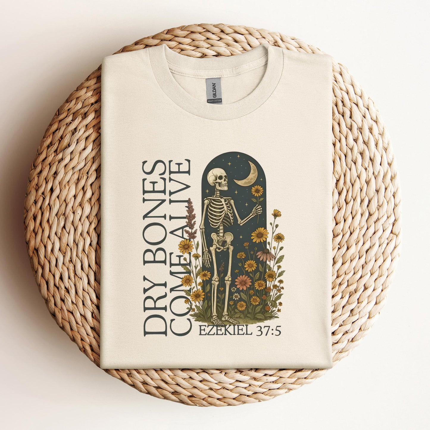 Dry Bones Come Alive Ezekiel 37.5 02