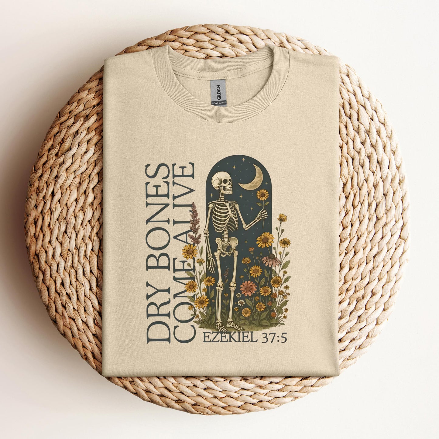 Dry Bones Come Alive Ezekiel 37.5 02