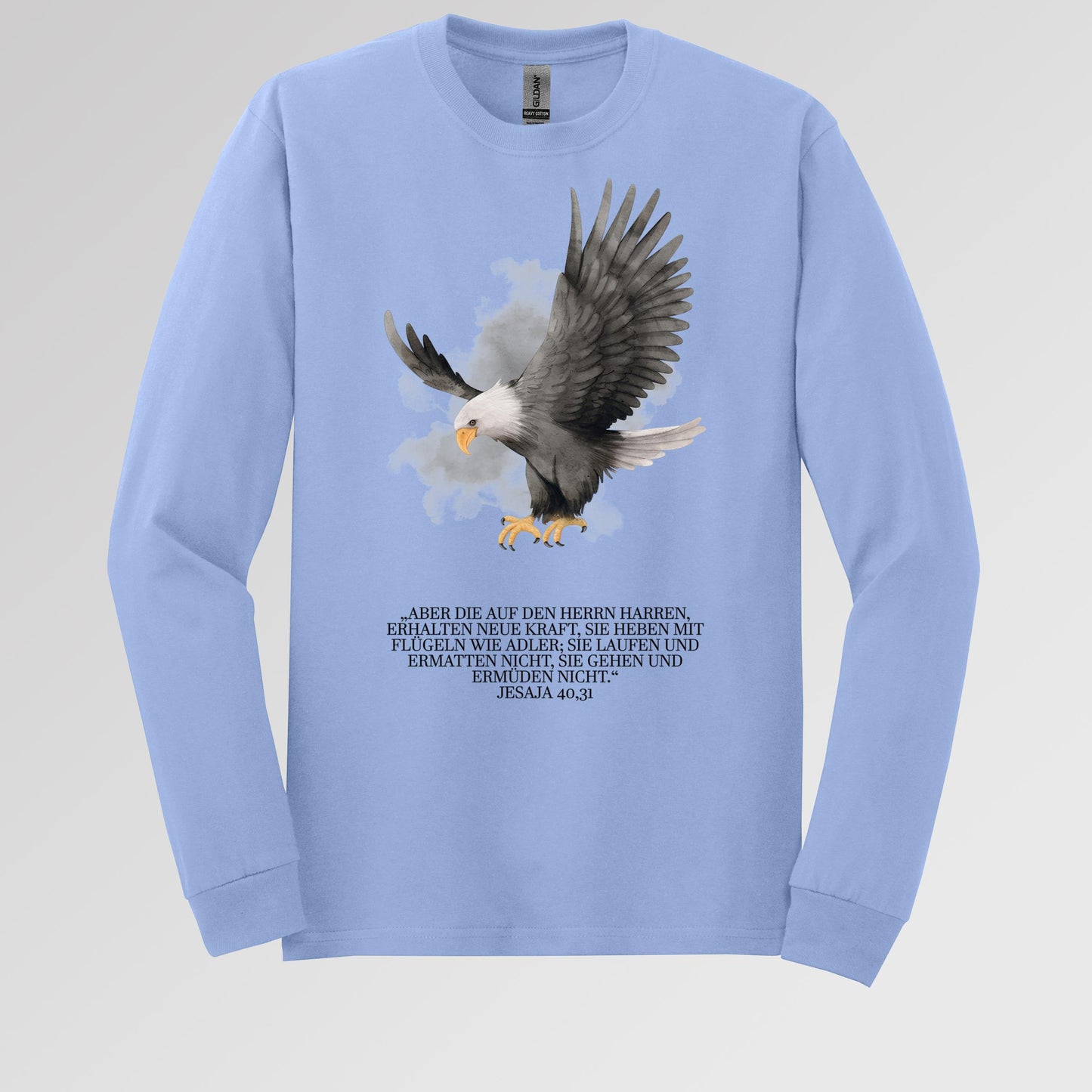 Eagle Bible Verse 01