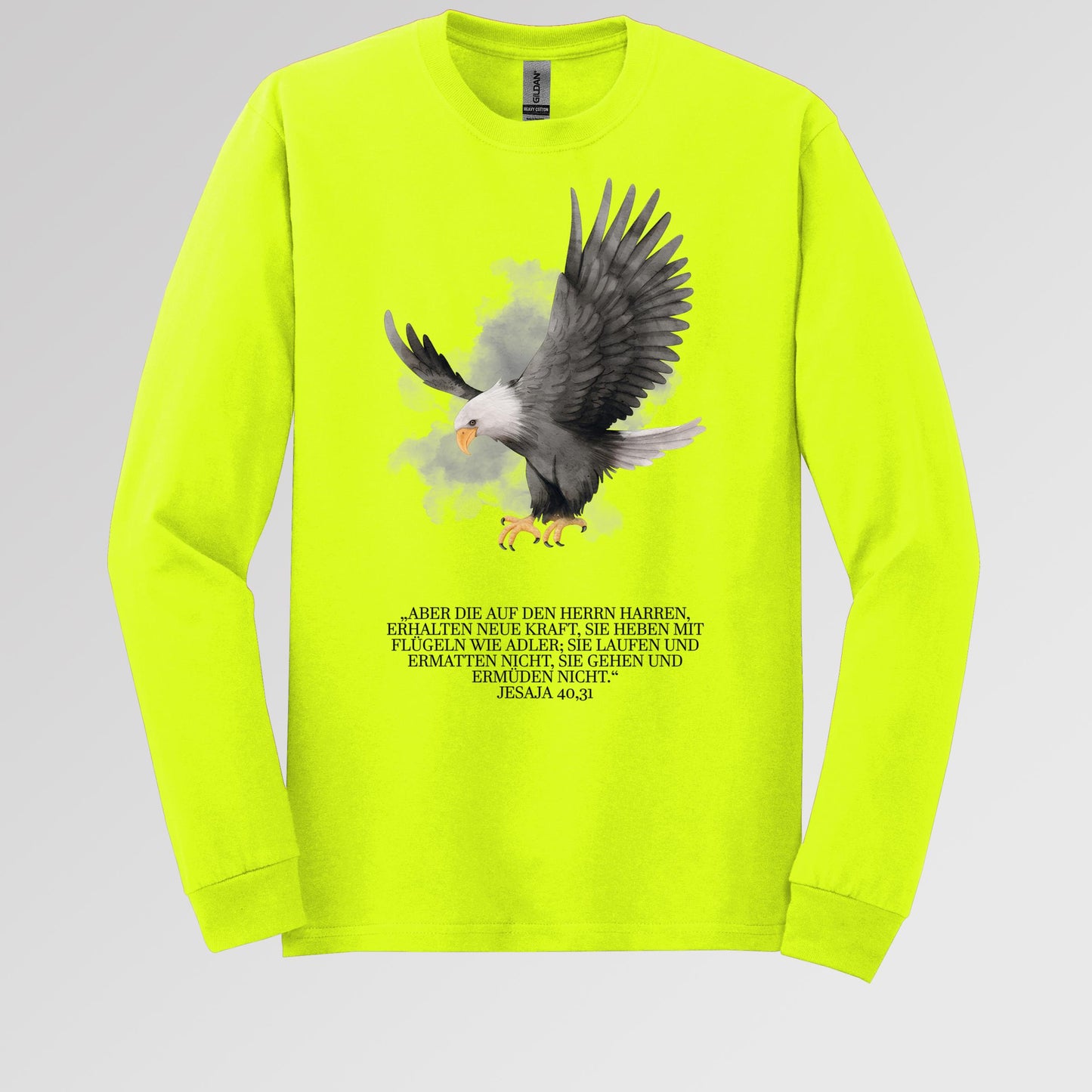 Eagle Bible Verse 01