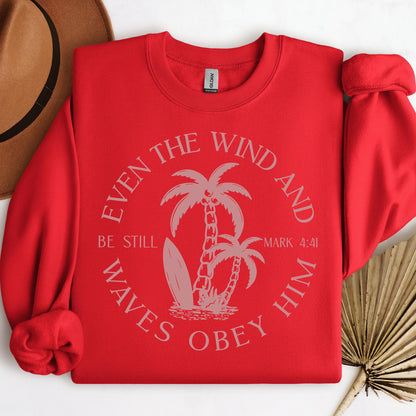 Even The Wind And Waves Obey Him Be Still Mark 4.41 05