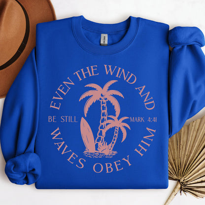 Even The Wind And Waves Obey Him Be Still Mark 4.41 05