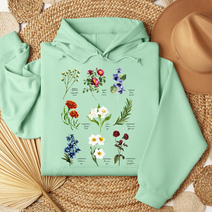 Floral Titles of Our Lady