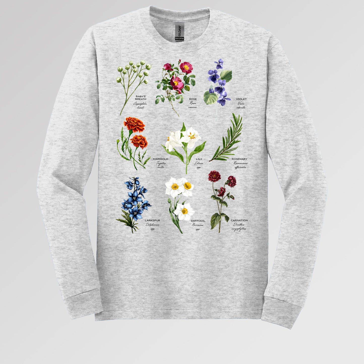 Floral Titles of Our Lady