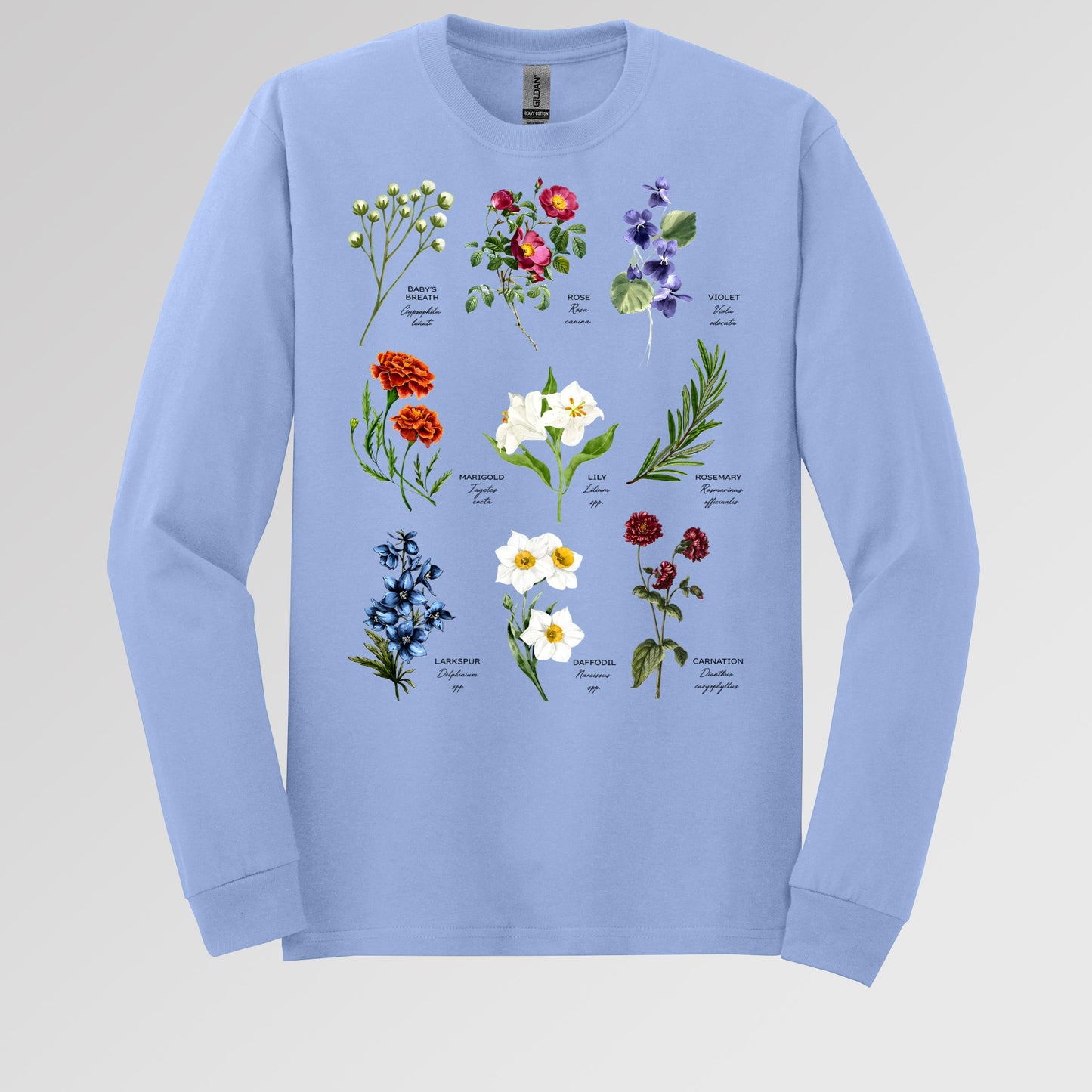 Floral Titles of Our Lady
