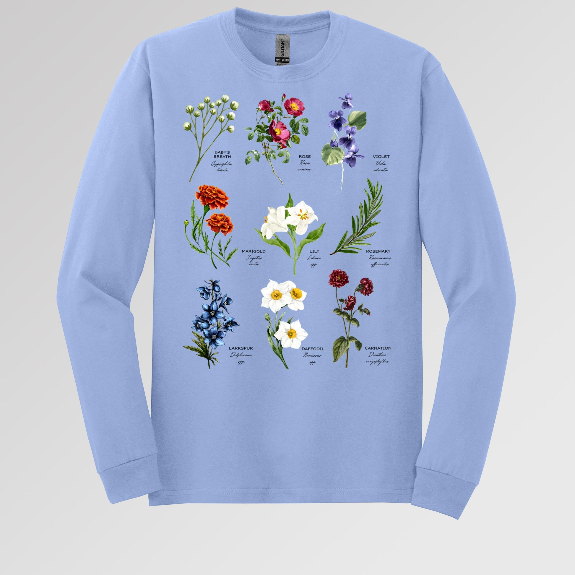 Floral Titles of Our Lady