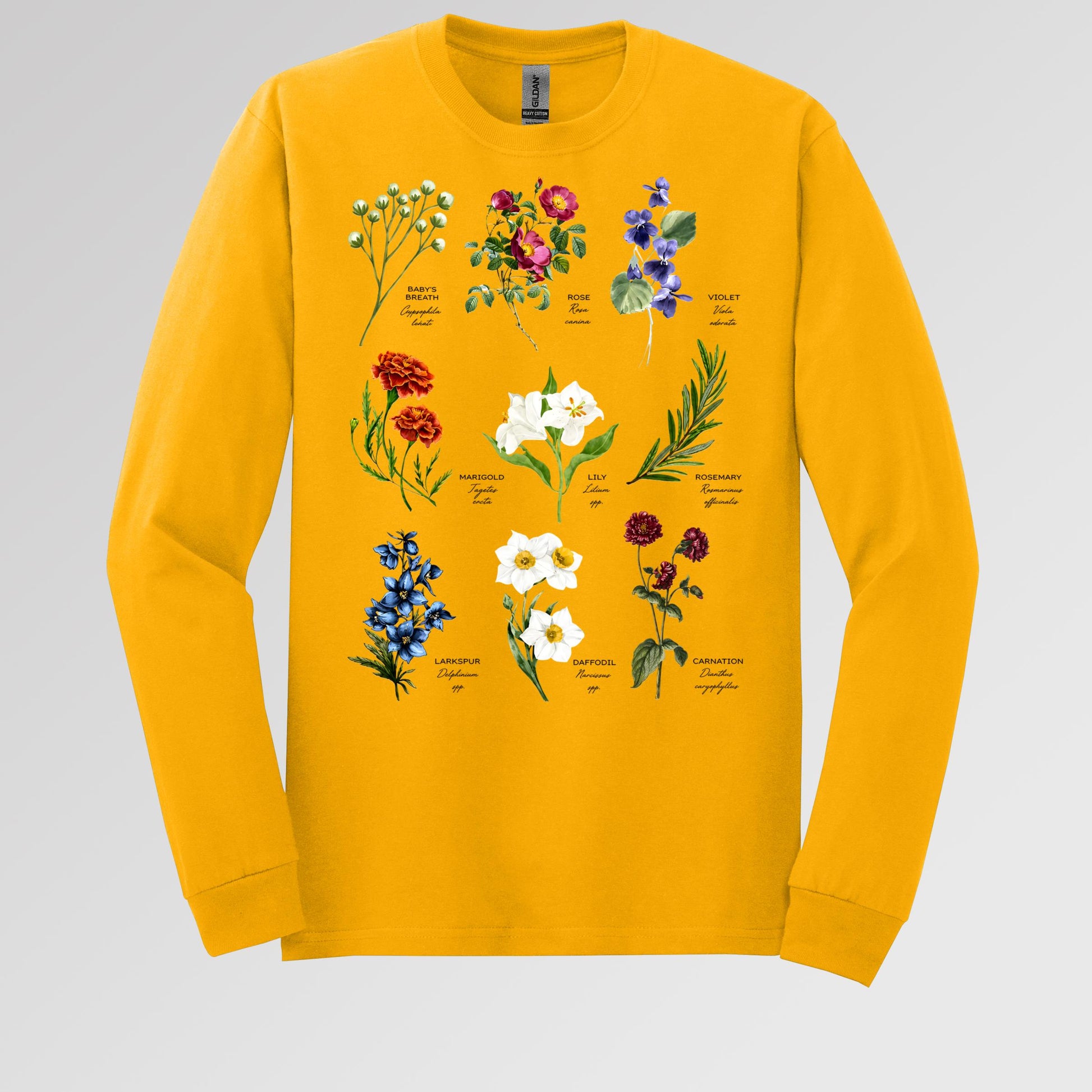 Floral Titles of Our Lady