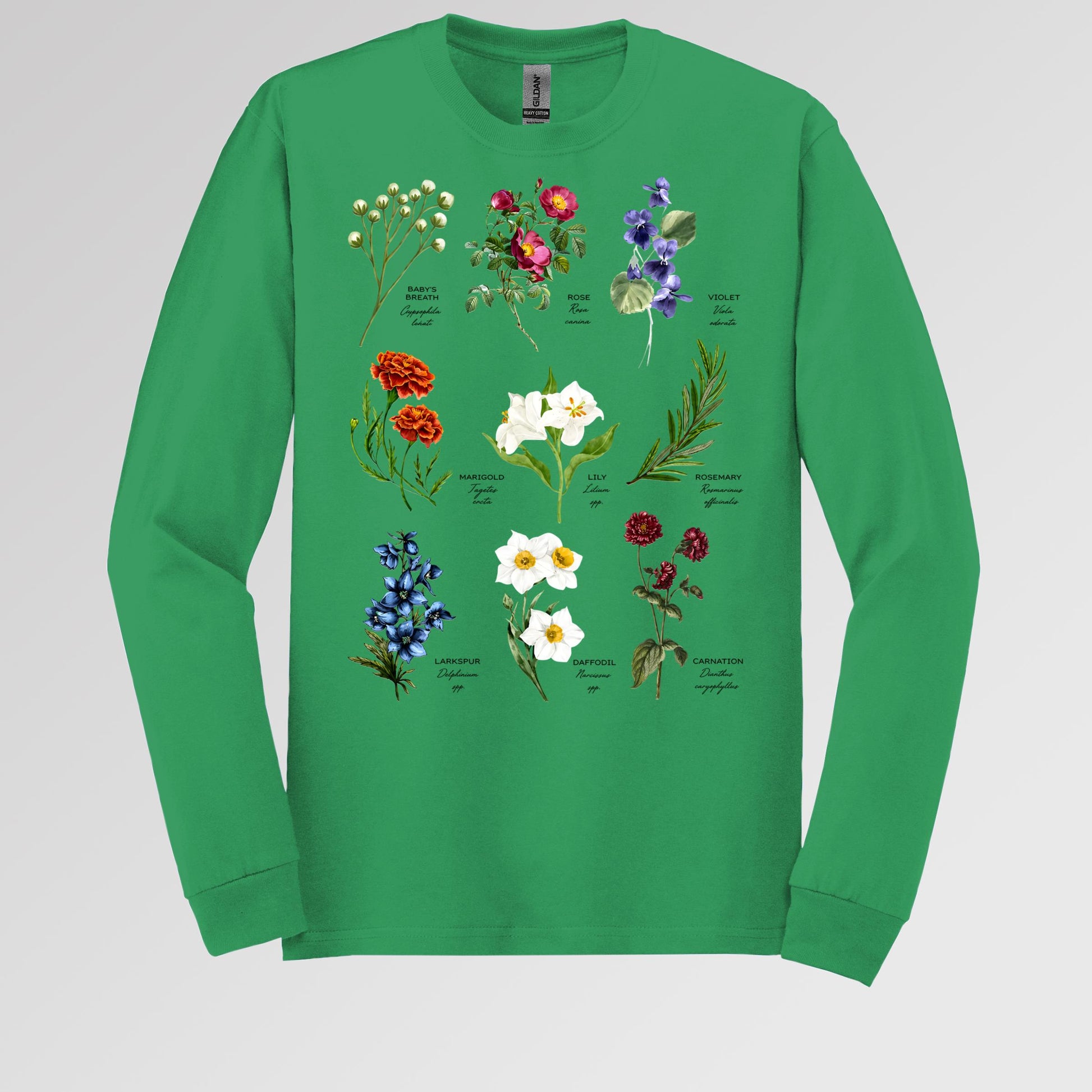 Floral Titles of Our Lady